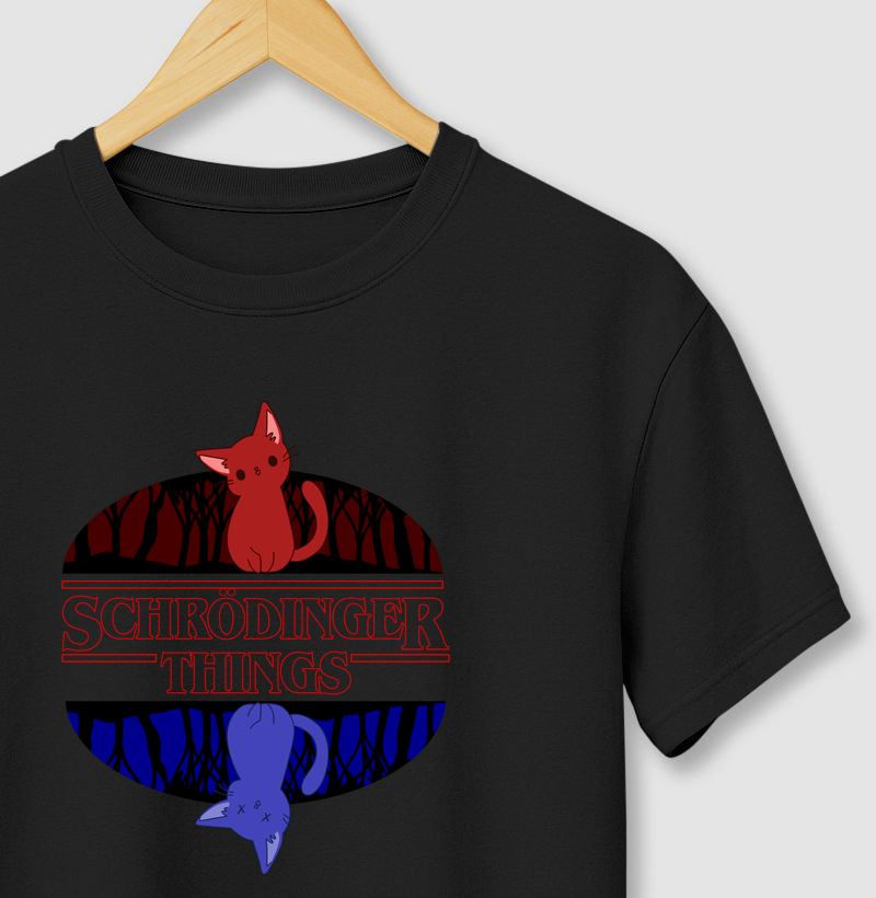 SCHRÖDINGER THINGS OUTLINED