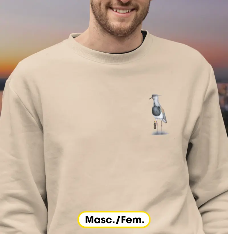 Quero-Quero