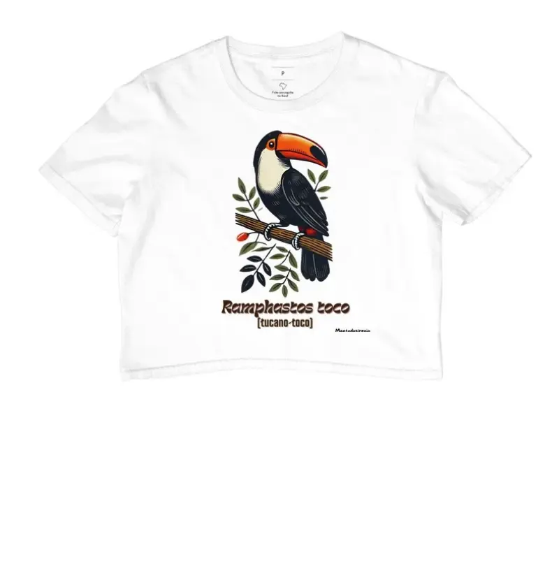 Tucano-toco 01  (cropped)