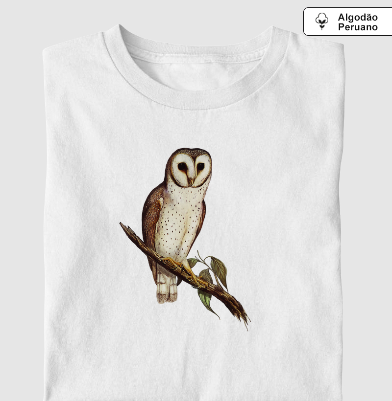 Delicate Owl