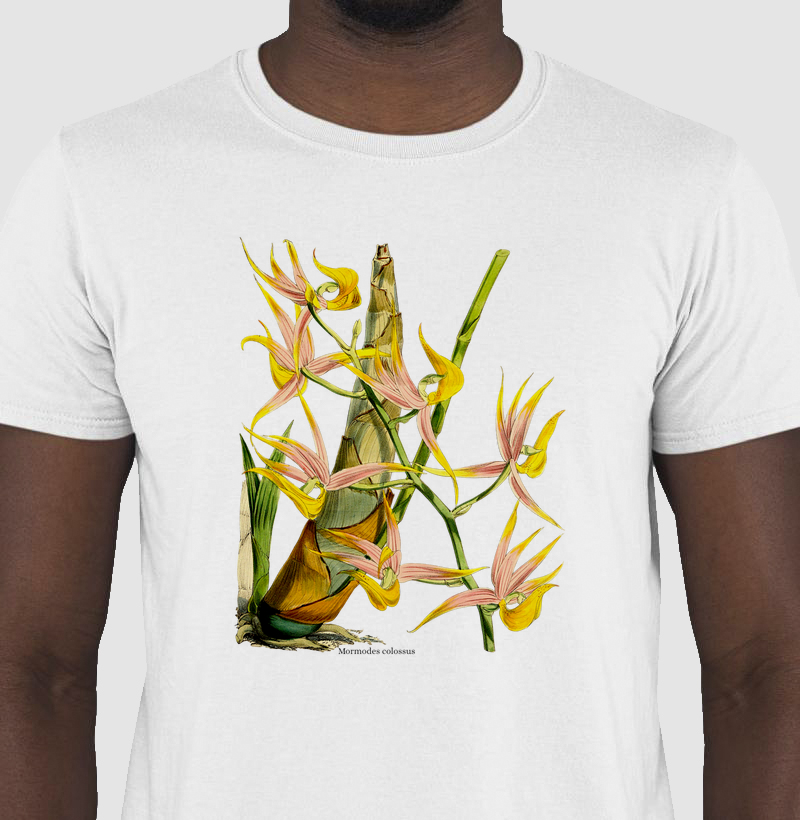 Camiseta Tshirt Mormodes colossus