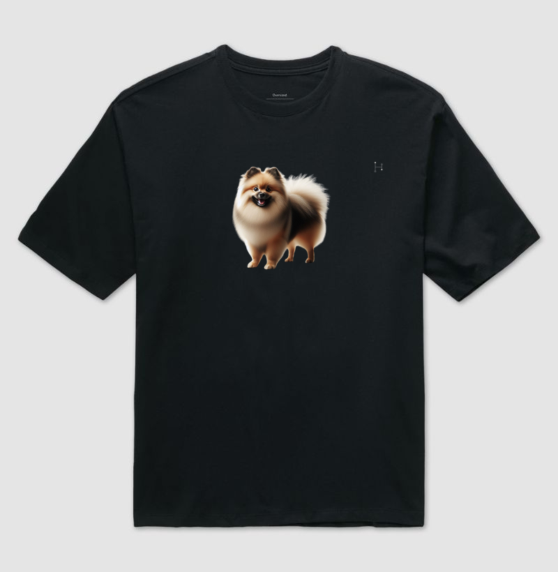 Lulu da Pomerânia | Spitz Alemão 4