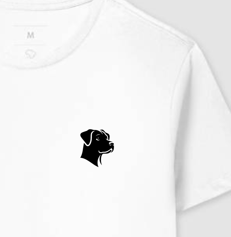 Camiseta B13