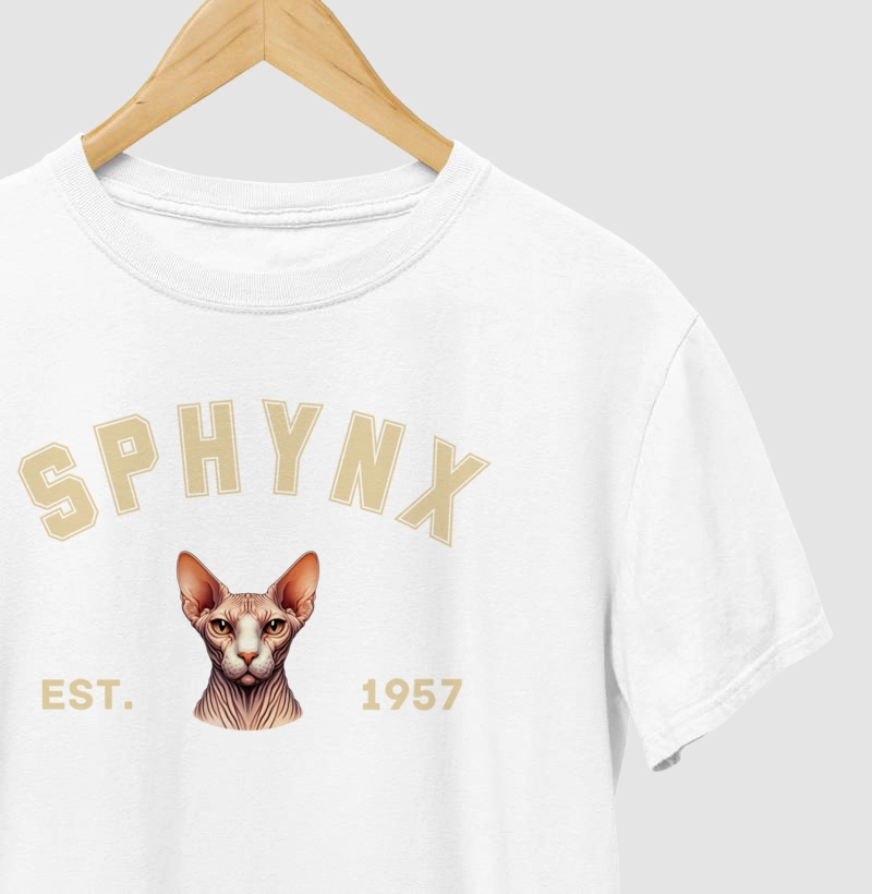 College - Sphynx
