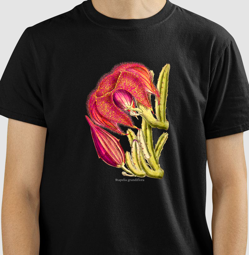 Camiseta Tshirt Stapelia grandiflora