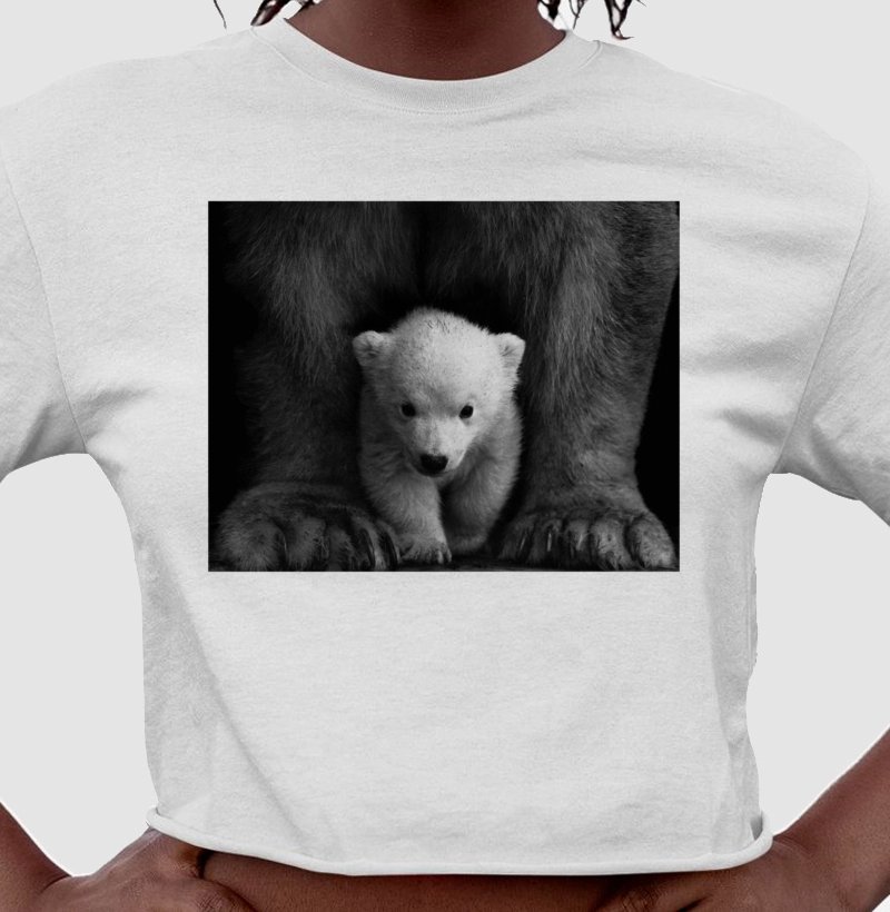 Baby Polar Bear