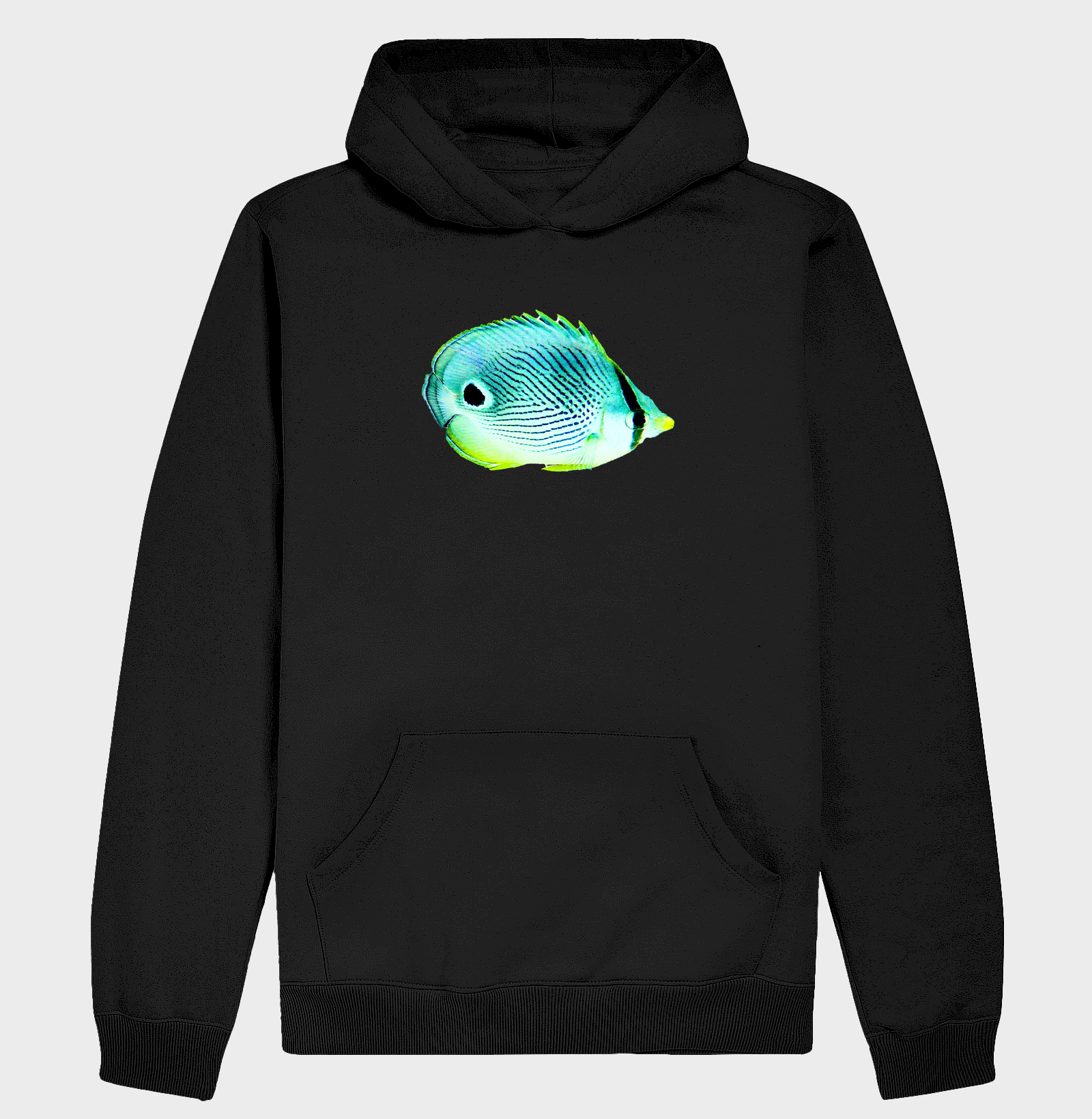 Peixe Borboleta