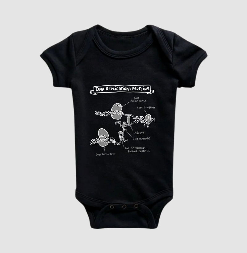 Camisa DNA Replication