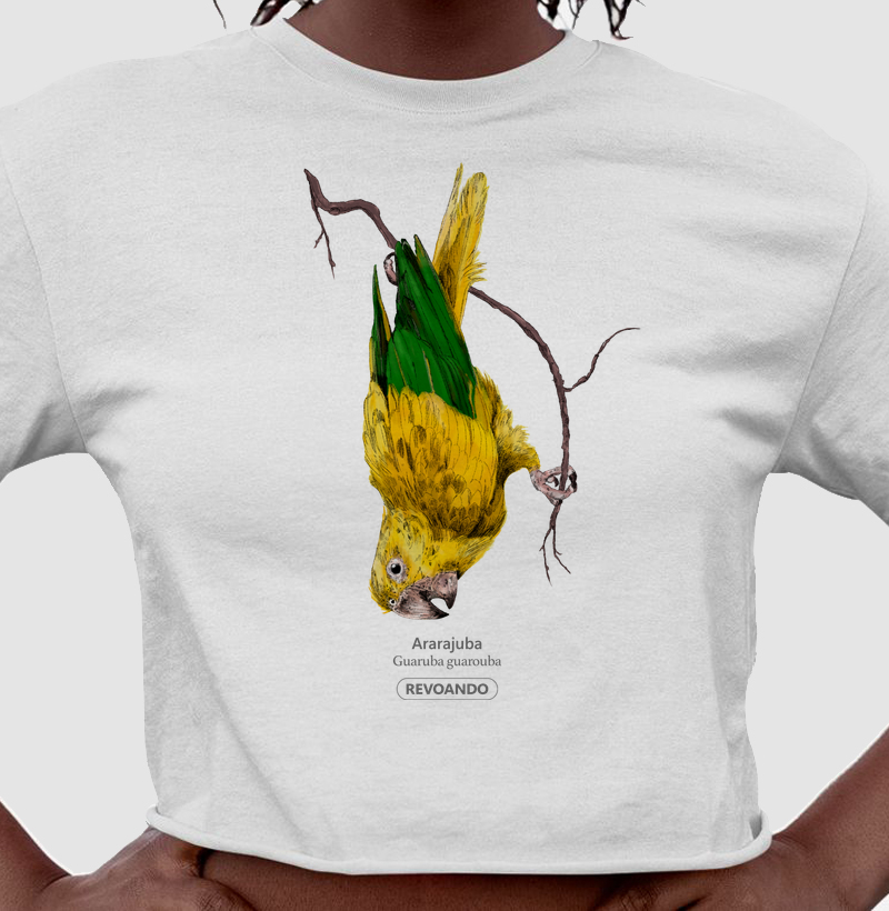 Aves do Brasil - Ararajuba - Cropped