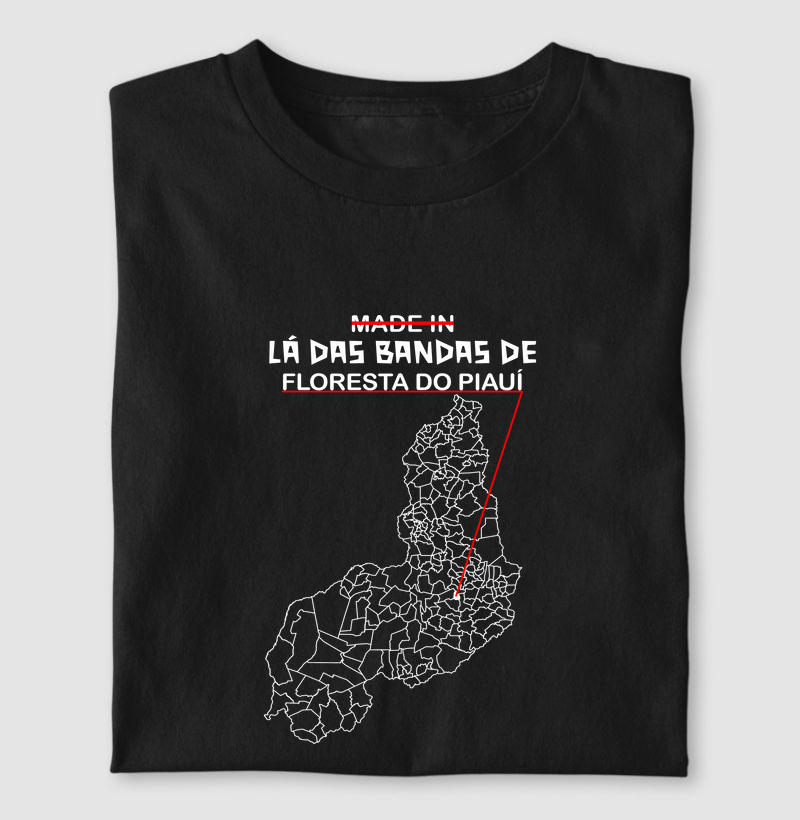 Floresta do Piauí | Lá das Bandas