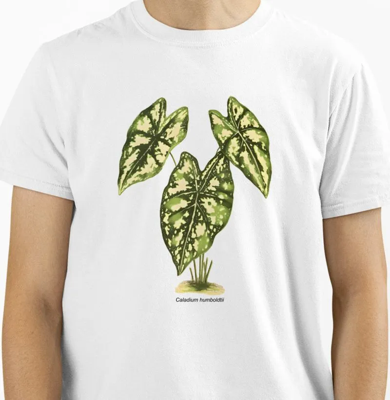 Camiseta Caladium humboldtii t-shirt