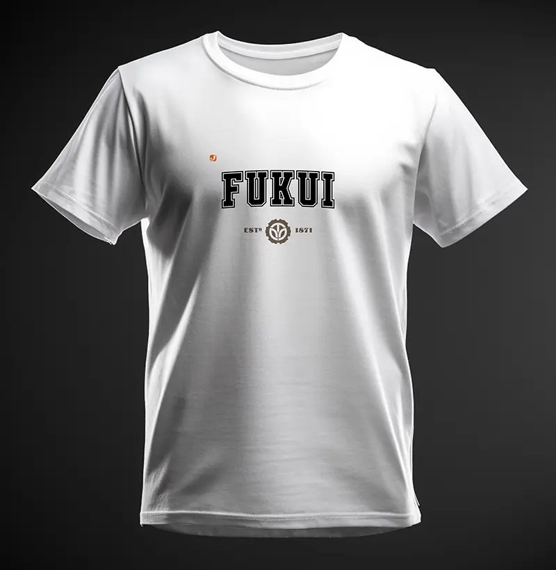 Província de Fukui