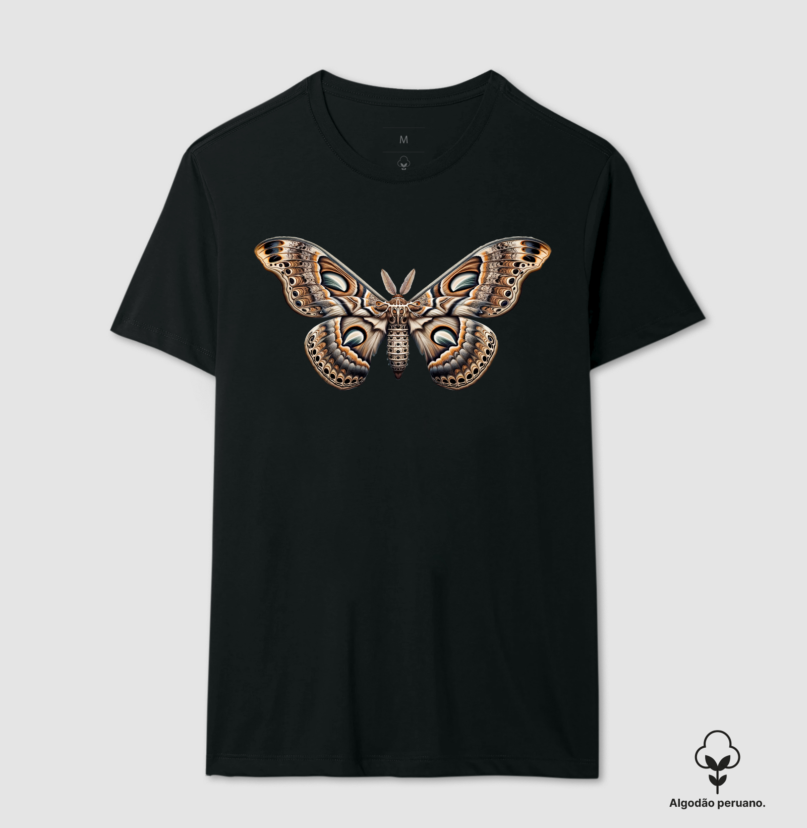 Mariposa, Ondas de Transformação