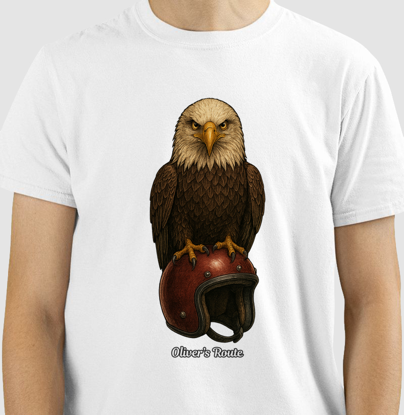 The Eagle and the Helmet