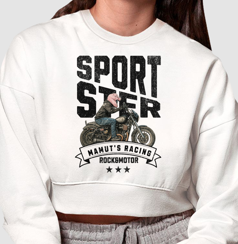 Sportster - Rafael Mamut