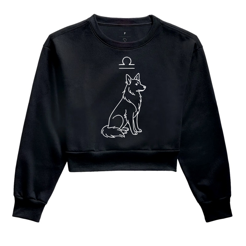 Border Collie libriano