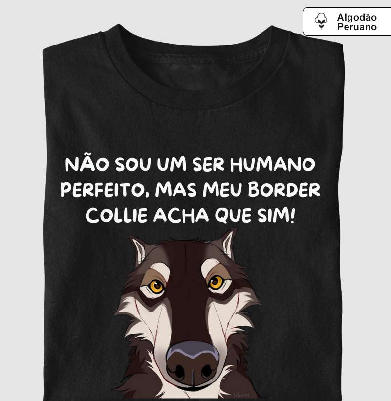 Não sou perfeito, mas meu border acha que sim