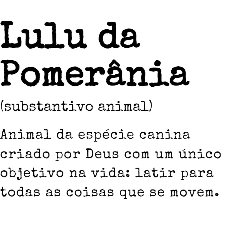 Lulu da Pomerânia sa. 01