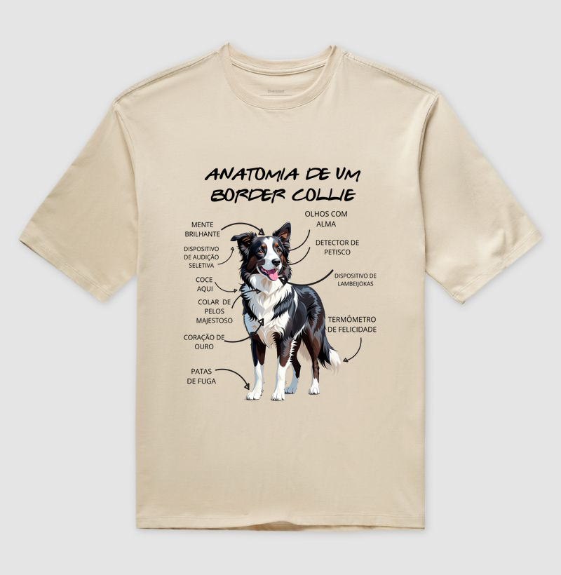 Anatomia de um border collie