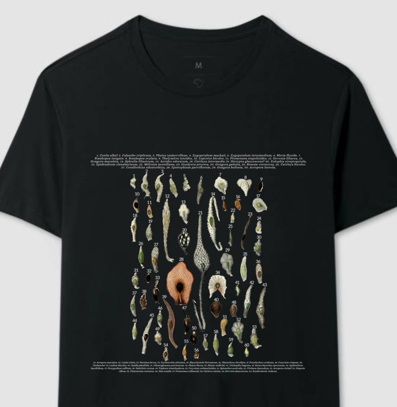 Camiseta Sementes de Orquídeas t-shirt