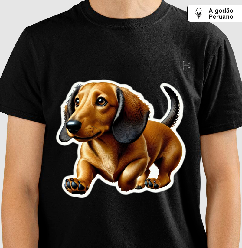 Dachshund 