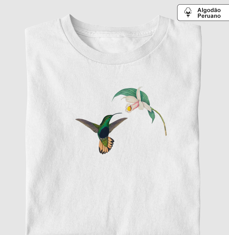 Beija-flor-aveludado