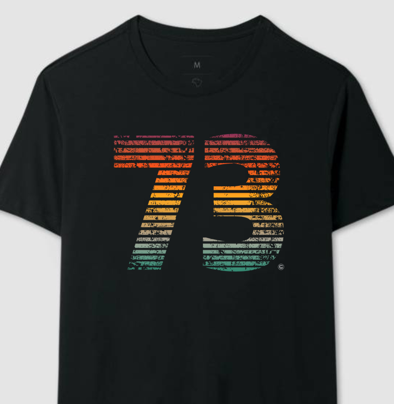 Ano decimal 73