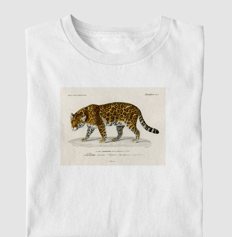 Onça-Pintada