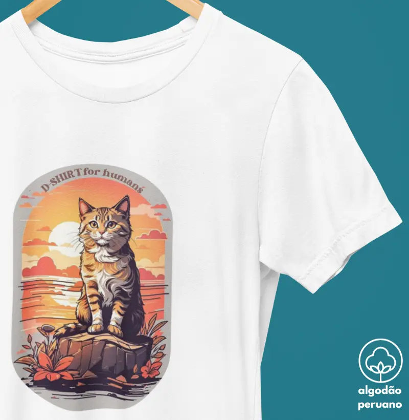 adventure cat