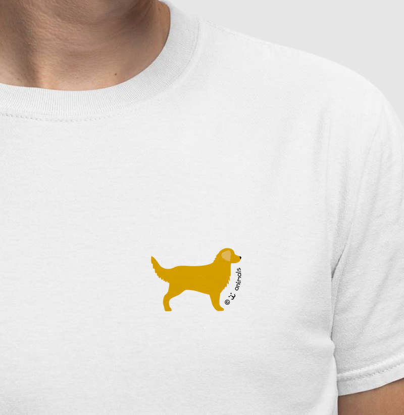 Golden Retriever - Perfil / Side