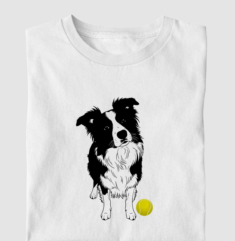 Border Collie e bola de tênis