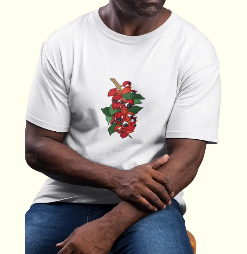 Guaraná
