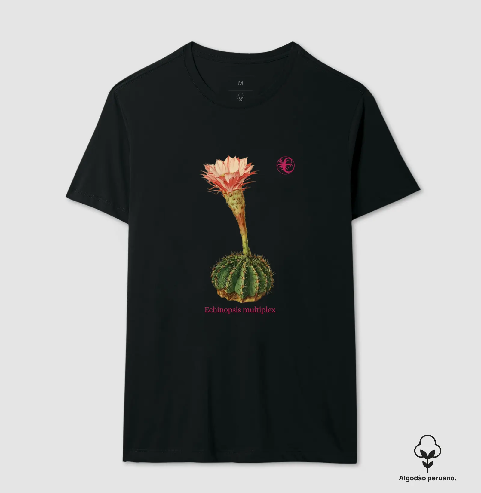 CACTUS V