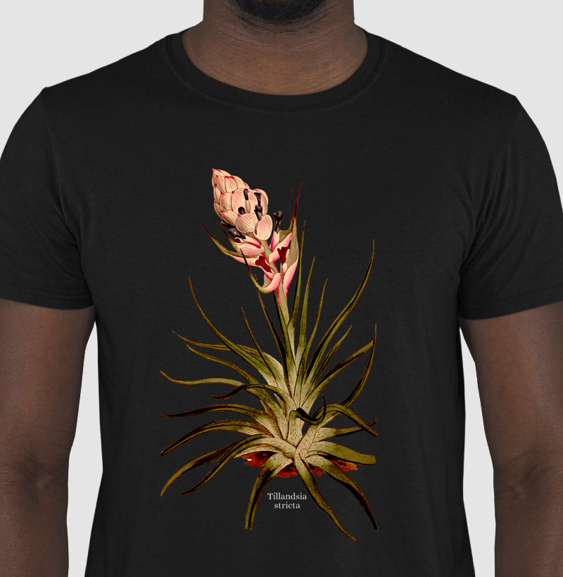 Camiseta Tshirt Tillandsia stricta