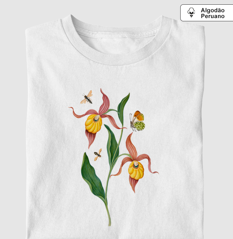 Lady's slipper orchid