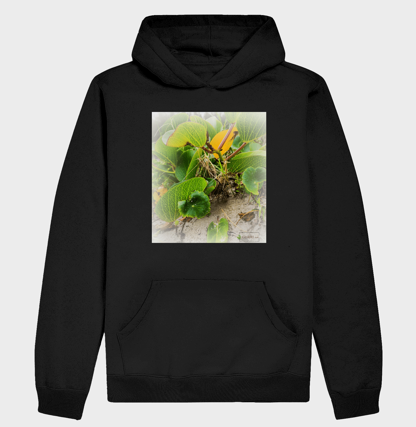 Restinga 01