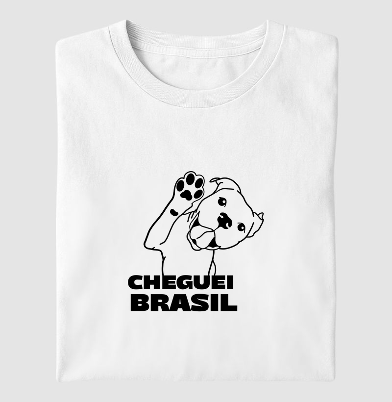 Cheguei Brasil