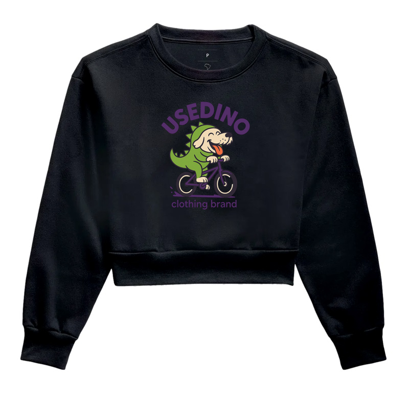 Use Dino little clothing brand Moletom