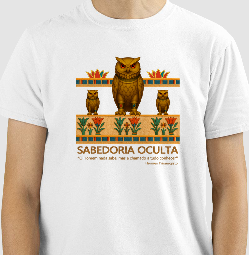 016 - Coruja Sabedoria Oculta 