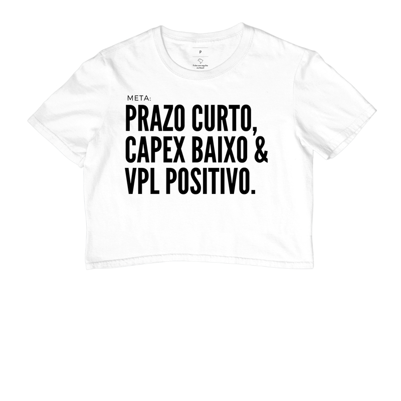 Prazo, Custo e VPL