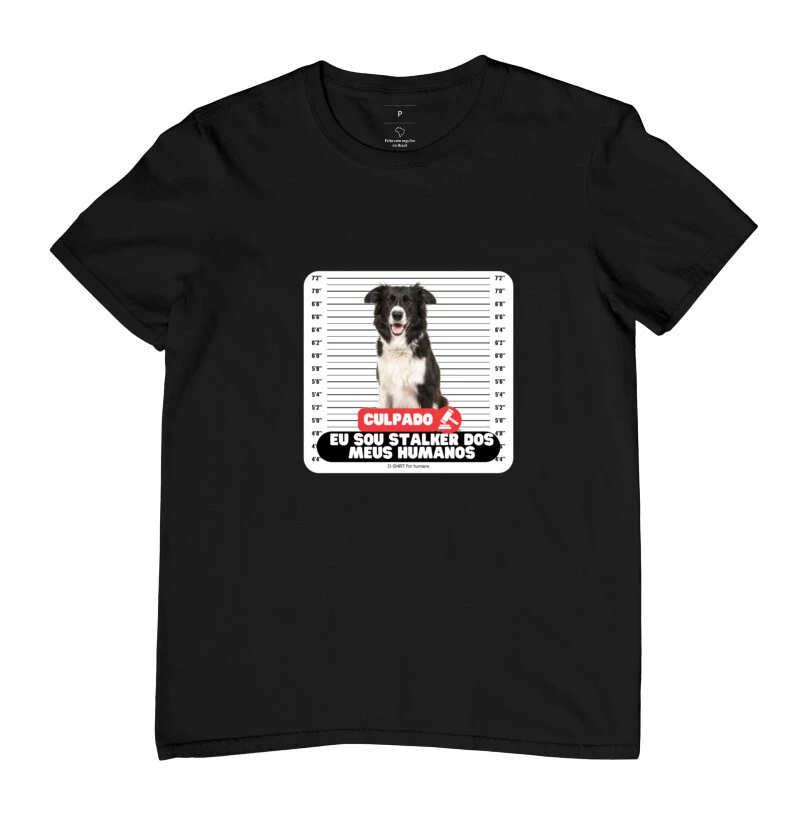 border collie culpado