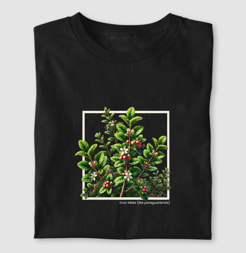 Ilex paraguariensis