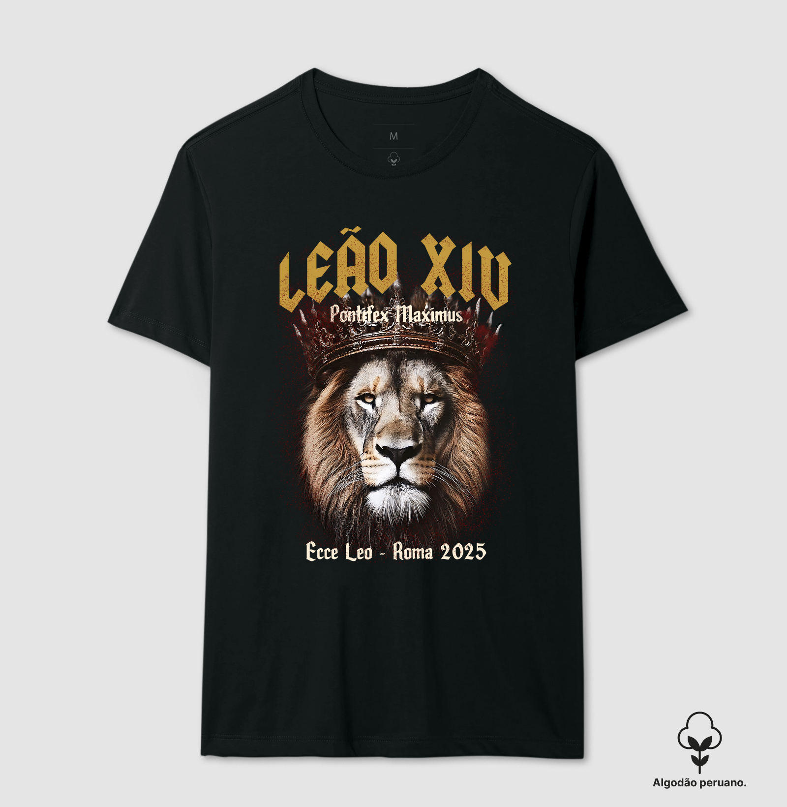 Papa Leão XIV