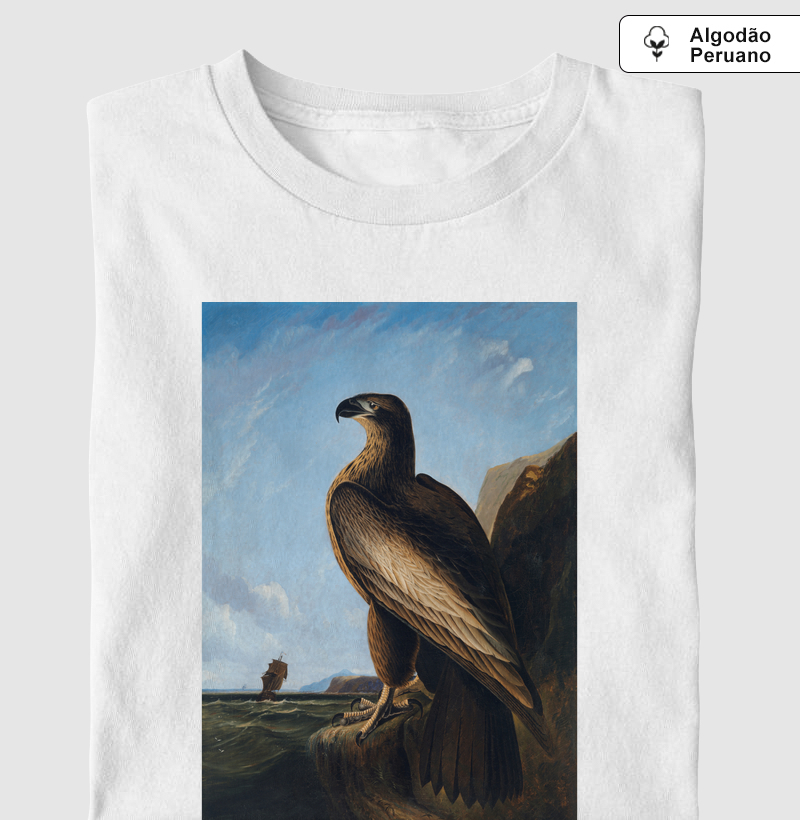 Washington Sea Eagle