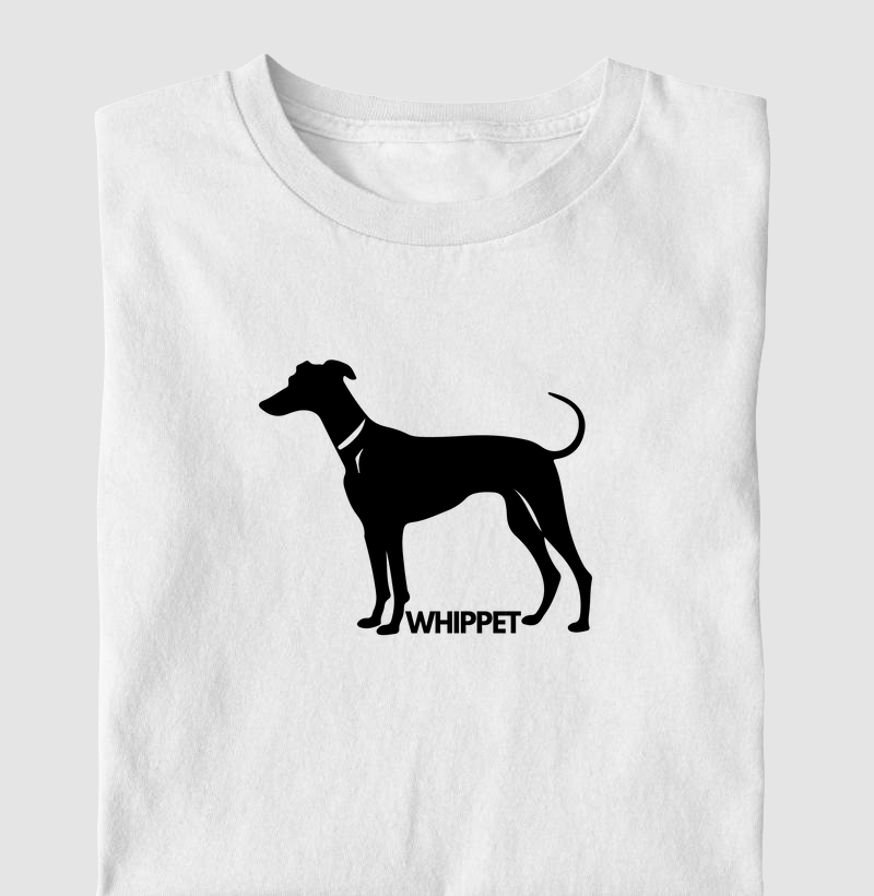 Whippet