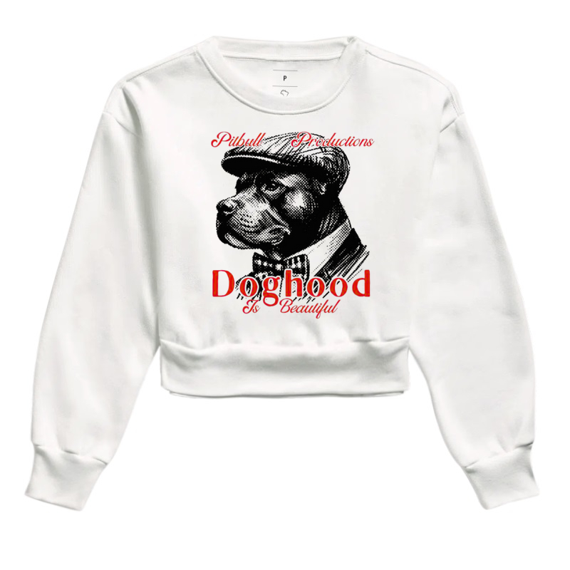 PIT BULL PRODUTCTIONS DOGHOOD  IS BEATIFULL