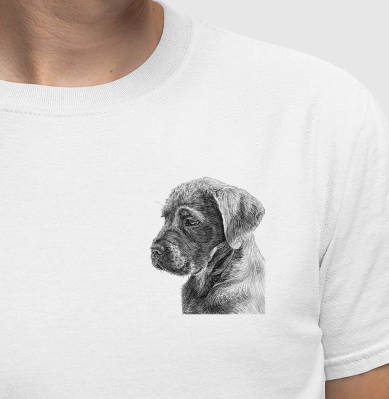 Animais - Dog