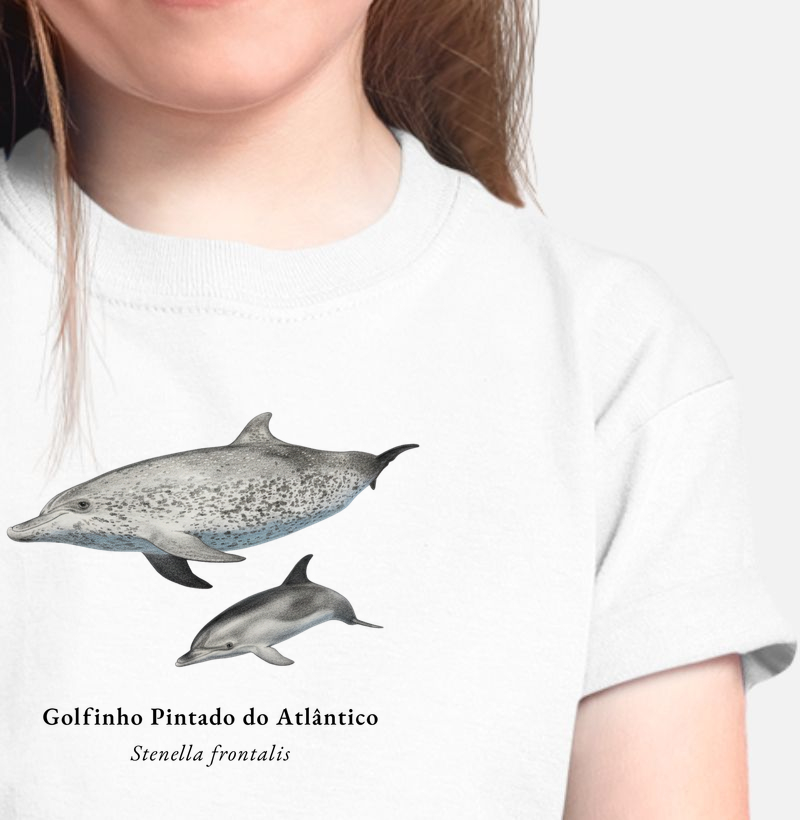 Golfinho Pintado do Atlântico