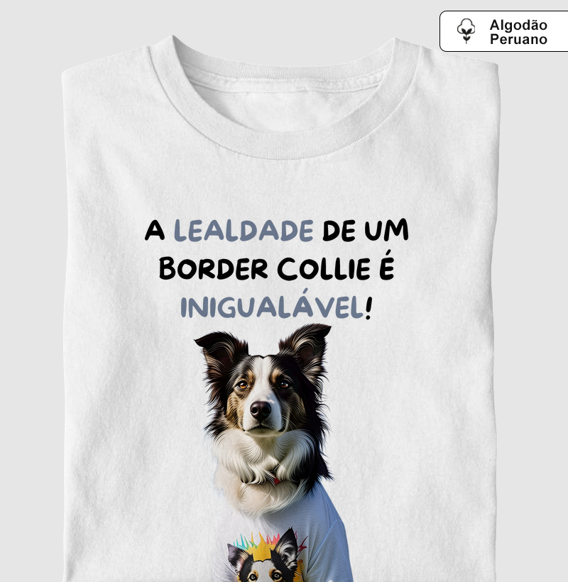 A lealdade de um border collie é inigualável