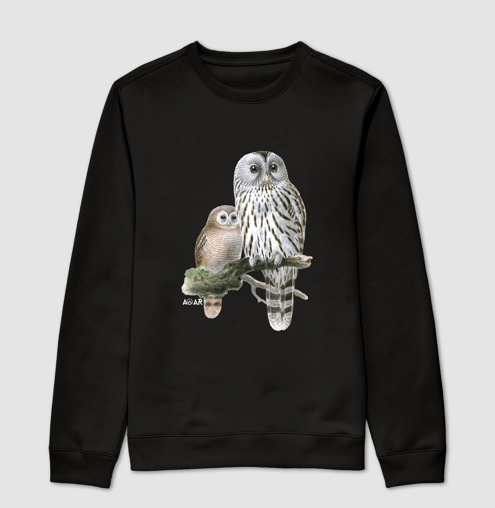 Coleção aves 